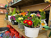 White Elm Garden Centre And Tearoom