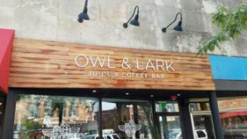 Owl And Lark