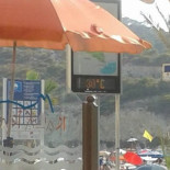 Cafeteria Marina