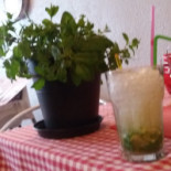 Pizzeria Misteno