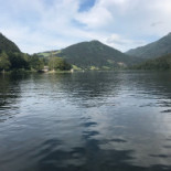 Almheuriger Im Moas