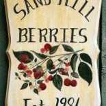 Sand Hill Berries