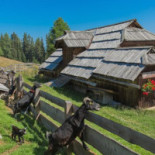 Schwarzseehütte