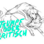 Trumpf Oder Kritisch