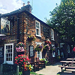 The Coach Horses