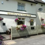 The New Albion