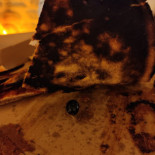 Gi Joe Pizza