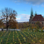 Glashütte Petersberg