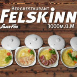 Felskinn