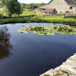 Auberge De Chauzeix