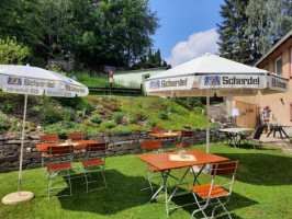 Landgasthof-pension Grüner Baum