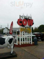 The Cow