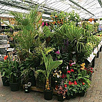 Stewarts Garden Centre