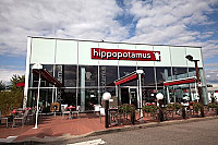 Hippopotamus