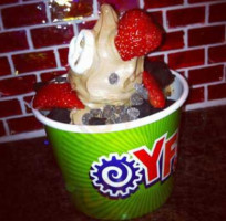 Yogo Factory Newtown Square