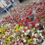 Sam's Club