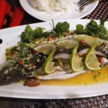 Thai Basilic