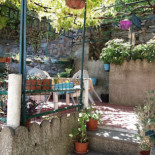 Alta Vista