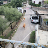 A Funtana