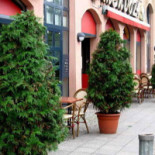 Mendoza Steakhaus