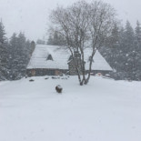 La Chaumière Du Mézenc