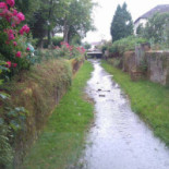 Les Lauriers Roses