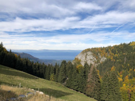 La Chèvrerie De Tréchauffé