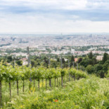 Weingut Wien Cobenzl