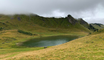 Ferme Auberge du Lys Blanc