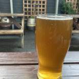 The Fox