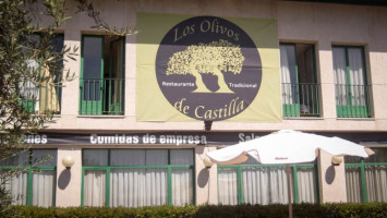 Los Olivos De Castilla