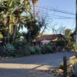 Hummingbird House Cafe