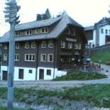 Waldblick