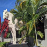 P.f. Chang's Dolphin Mall