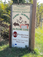 Plume Cane