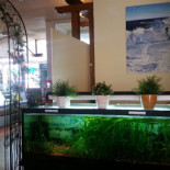 Thassos Grill