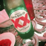 El Agave