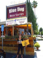 Blue Dog Tavern