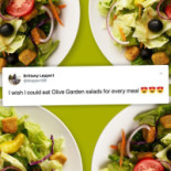 Olive Garden Tampa Safety Harbor