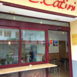Boc.catini