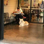 It's A Grind Coffee House