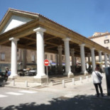 Le Cocotier