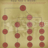 Teavana