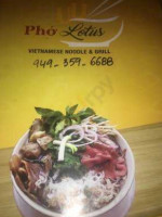 Lotus Vietnamese Cuisine