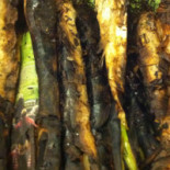 Bodega Donostiarra