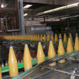 Rapp's Kelterei Gmbh