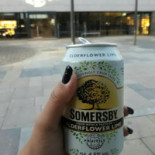 Bier