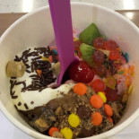 Skinnysweet Frozen Yogurt
