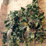 Village Crown