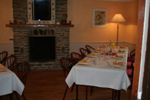 Le Perroquet Vert
